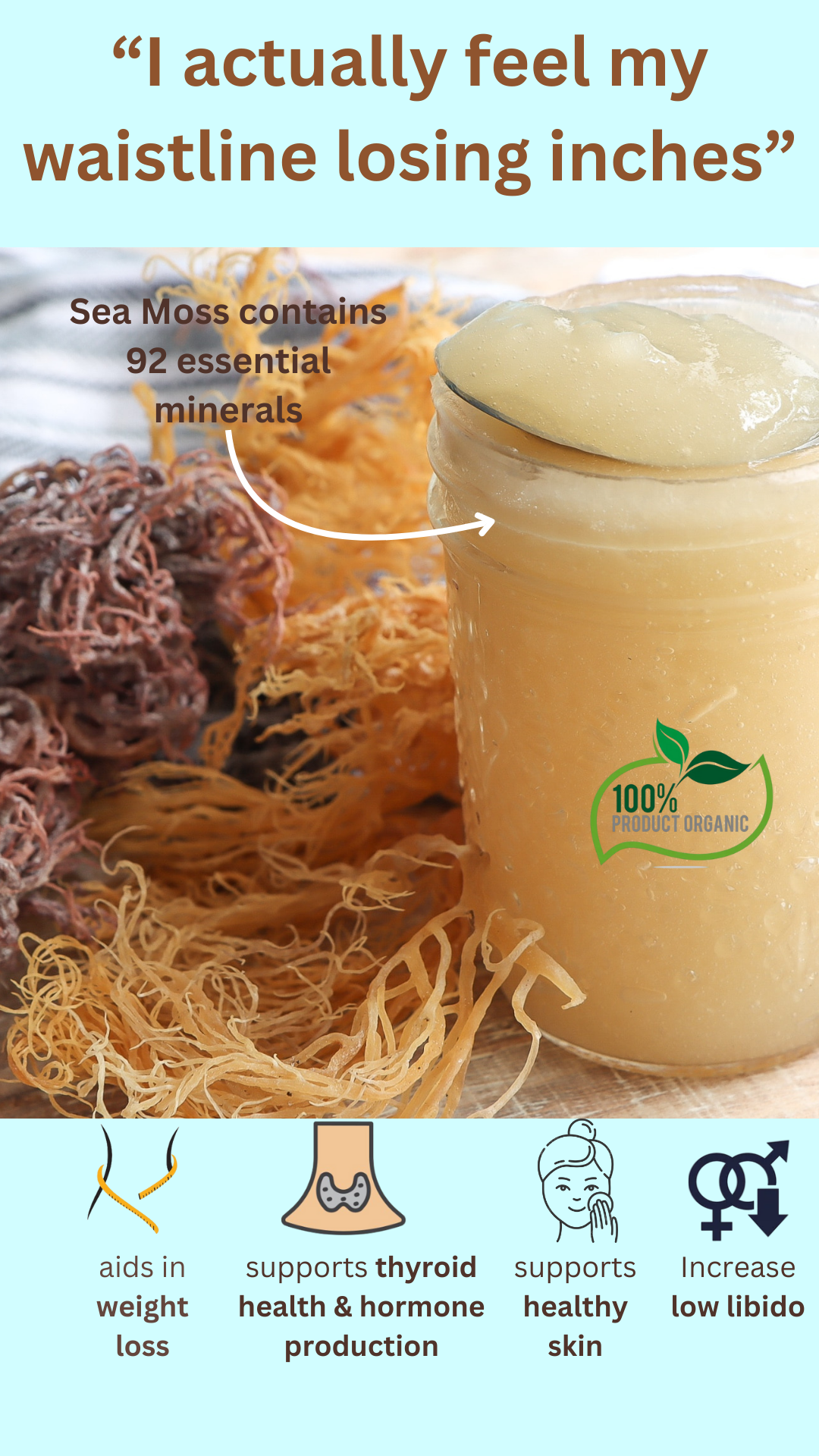 Organic Sea Moss Gel (512g)