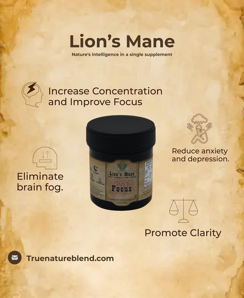 Lion's Mane Pure Powder (30 servings)
