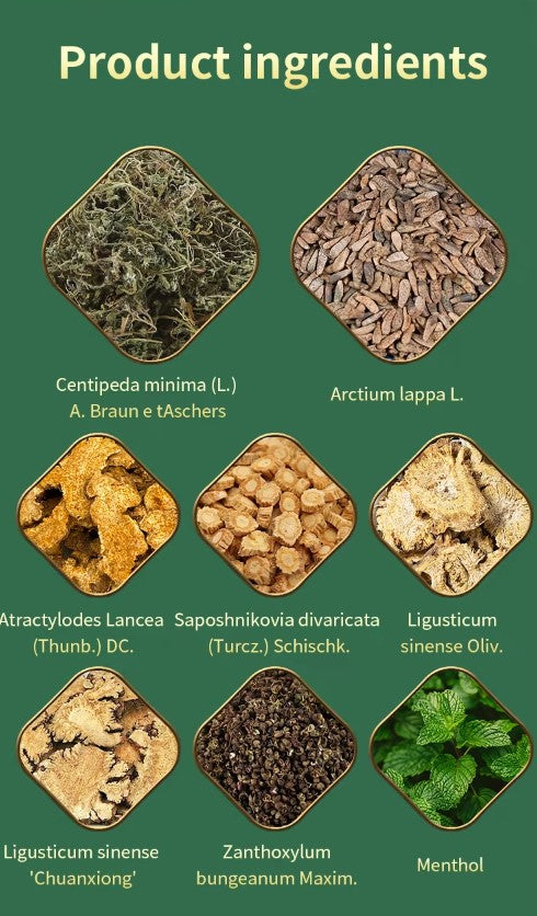 Chinese Traditional Herbs - Nose Rhinitis Allergic Sinusitis Cream